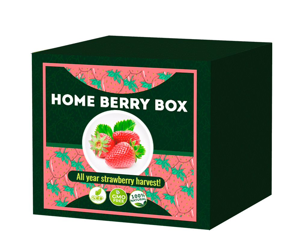 Home Berry Box Product Overview. What Is It?